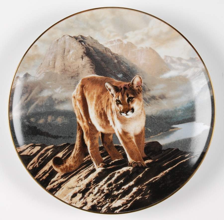 Worlds Most Magnificent Cats Cougar - Boxed by WS George-1