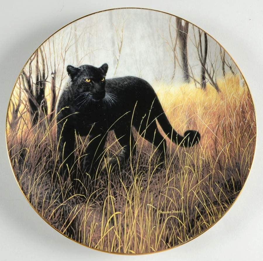 Worlds Most Magnificent Cats Powerful Presence - Boxed by WS George-1