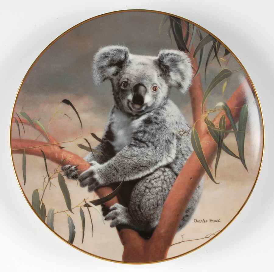 Natures Lovables The Koala - With Box by WS George-1