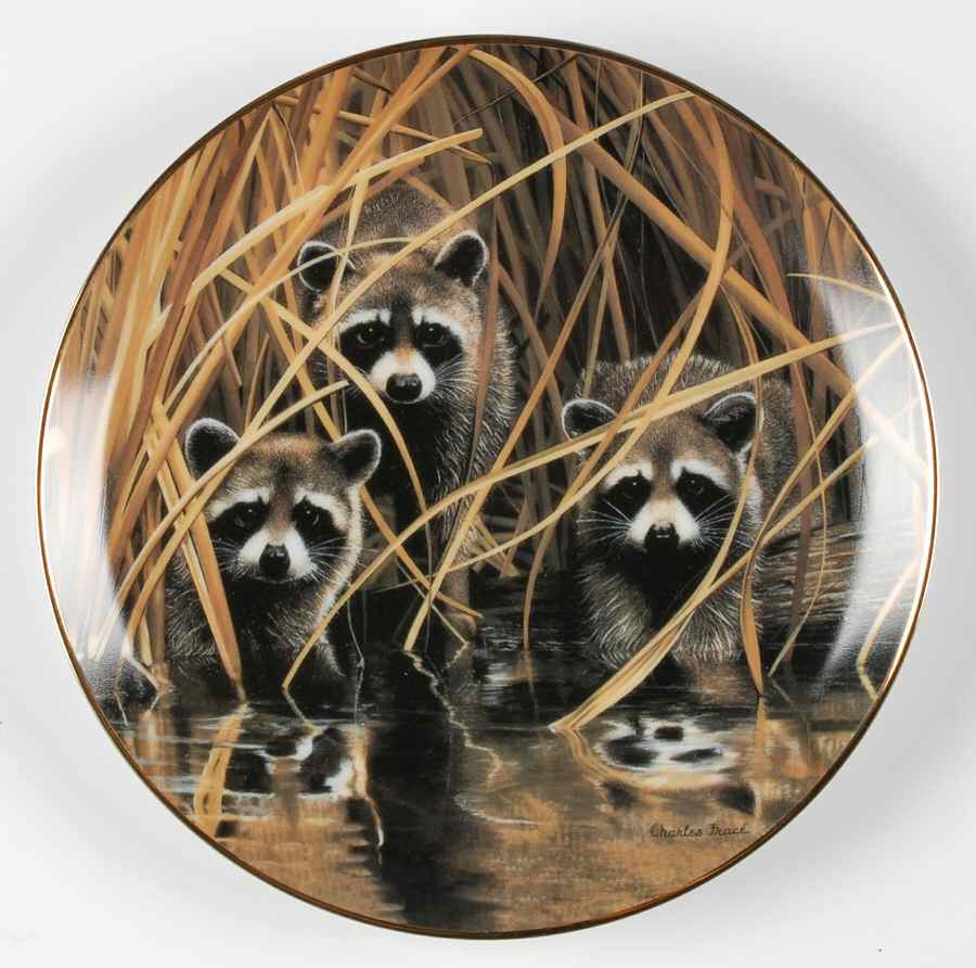 Nature's Playmates Curious Trio - Boxed by WS George-1
