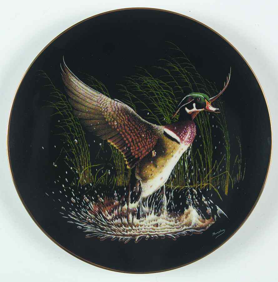 On The Wing Winged Splendor - No Box by WS George-1