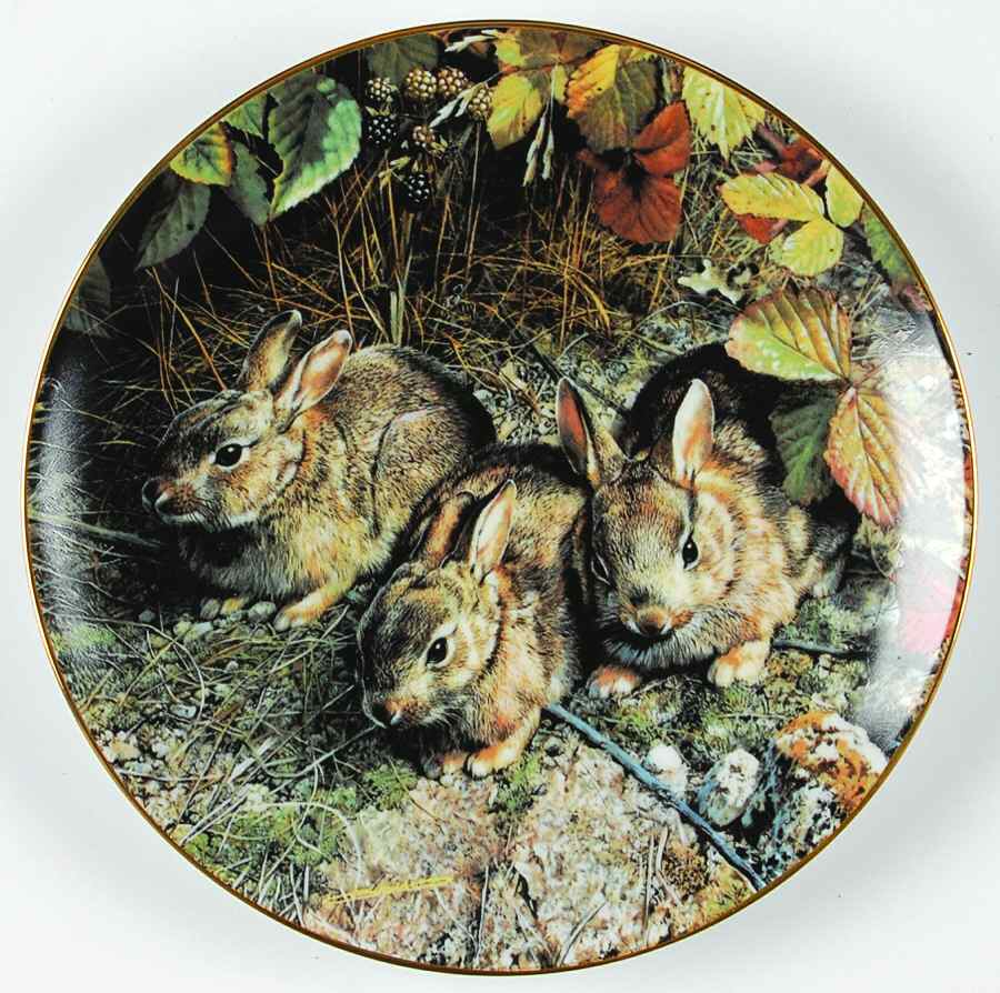 Our Woodland Friends Shy Explorers - No Box by WS George-1