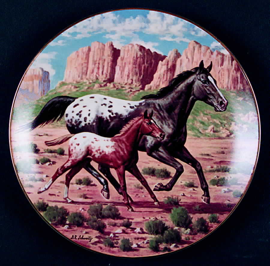 Purebred Horses of America The Appaloosa - With Box by WS George-1