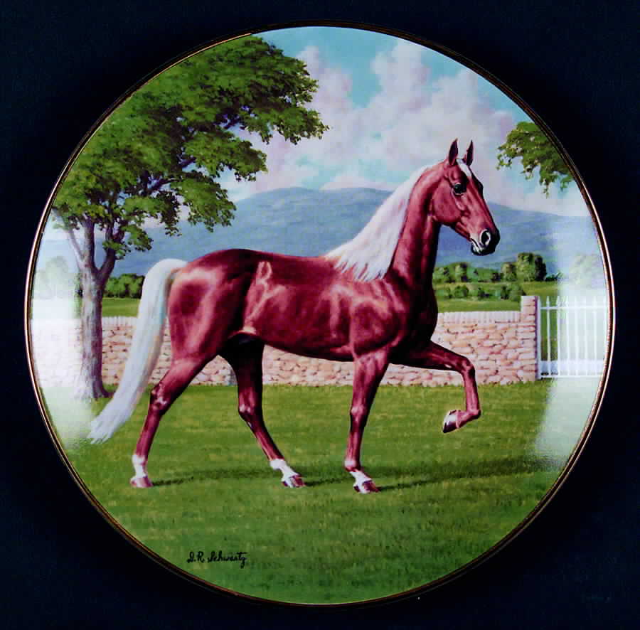 Purebred Horses of America The Tennessee Walker - No Box by WS George-1