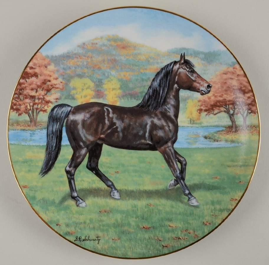 Purebred Horses of America The Morgan - Boxed by WS George-1
