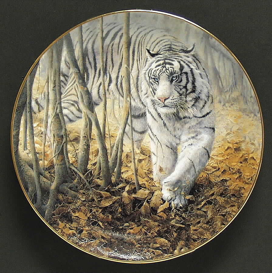 Rare Encounters Softly, Softly (Tiger) - With Box by WS George-1