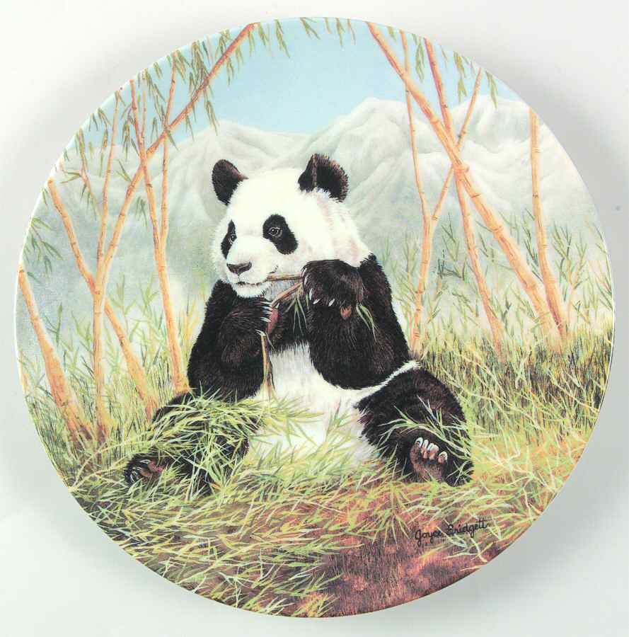 Secret World Ofthe Panda A Bamboo Feast - Boxed by WS George-1