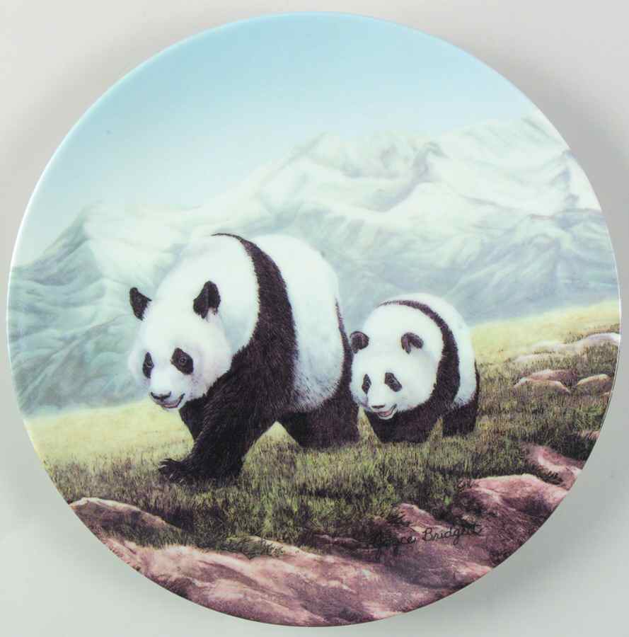 Secret World Ofthe Panda A Day Of Exploring - Boxed by WS George-1