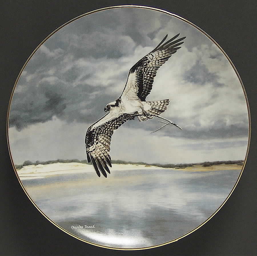 Soaring Majesty The Osprey - No Box by WS George-1