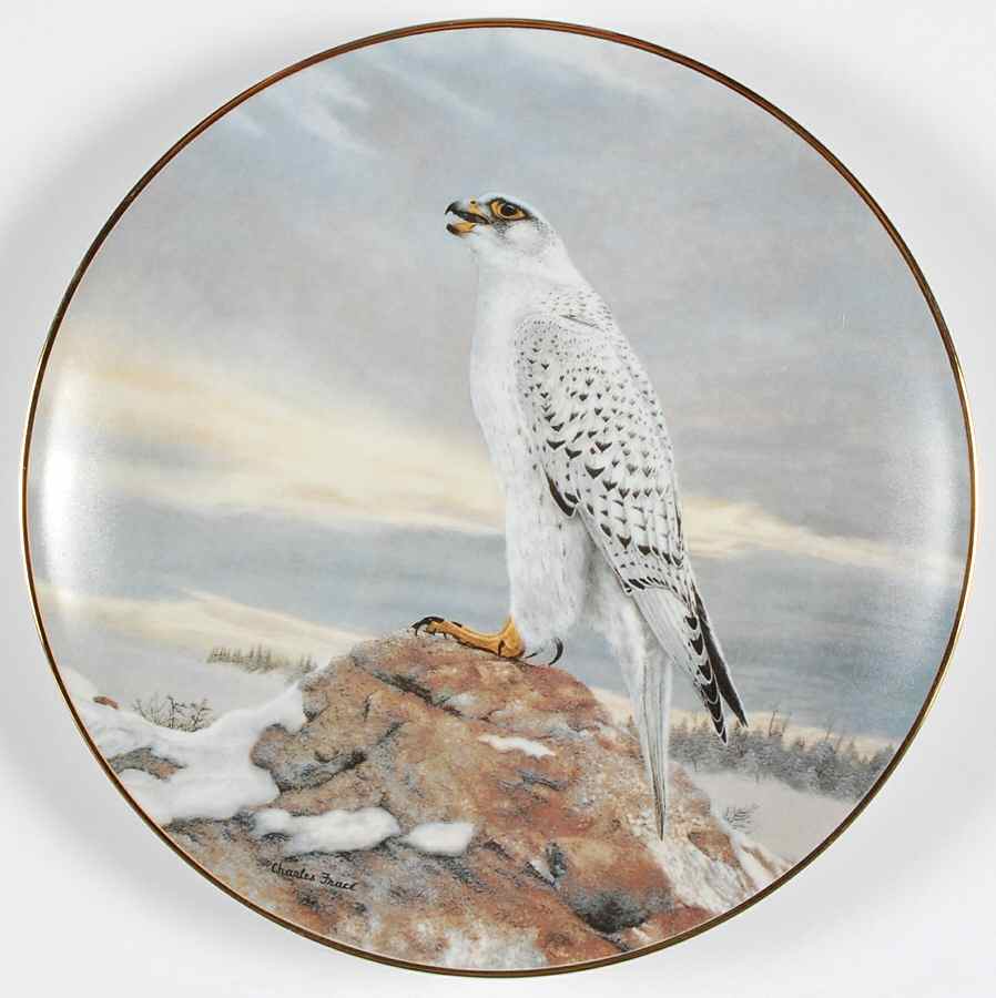 Soaring Majesty The Gyrfalcon - Boxed by WS George-1