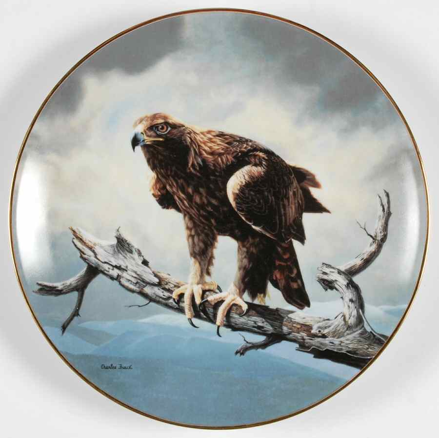 Soaring Majesty The Golden Eagle - No Box by WS George-1