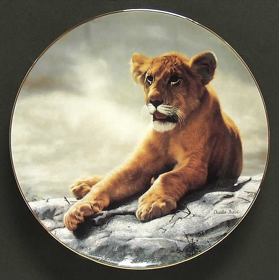 Wild Innocence Lion Cub - No Box by WS George-1