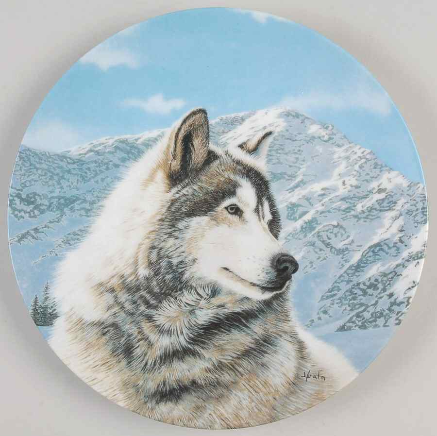 Wild Spirits Solitary Watch - No Box by WS George-1
