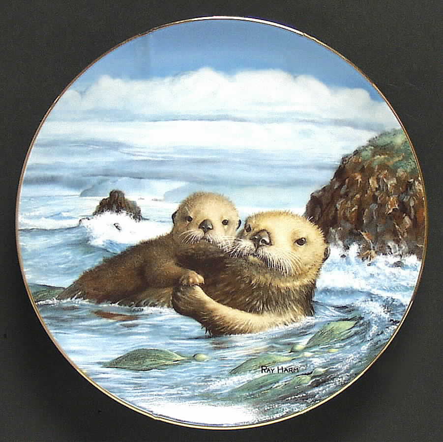 Wonders of The Sea Heart To Heart - Boxed by WS George-1