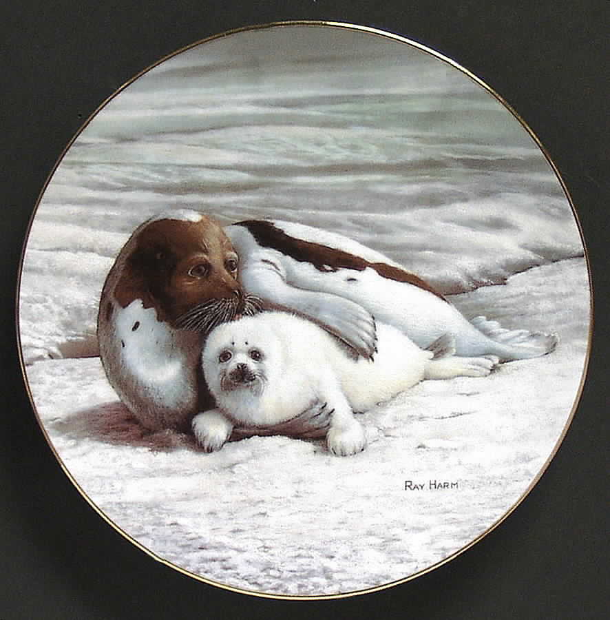 Wonders of The Sea Warm Embrace - Boxed by WS George-1