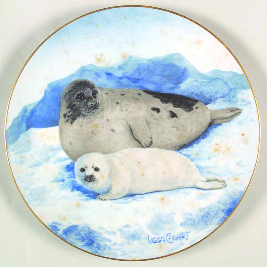 North American Wildlife Harp Seal - Boxed by Goebel-1