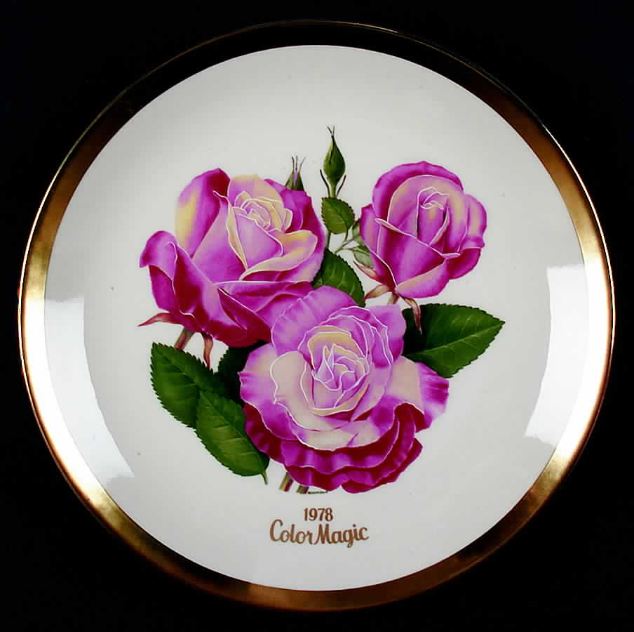 All American Rose Color Magic - Boxed by Gorham-1