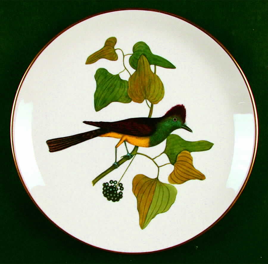Catesby Collection Crested Flycatcher - Boxed by Gorham-1