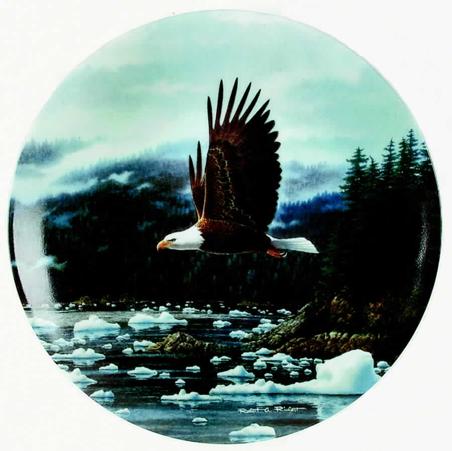 Americas Pride Misty Fjords - No Box by WS George-1