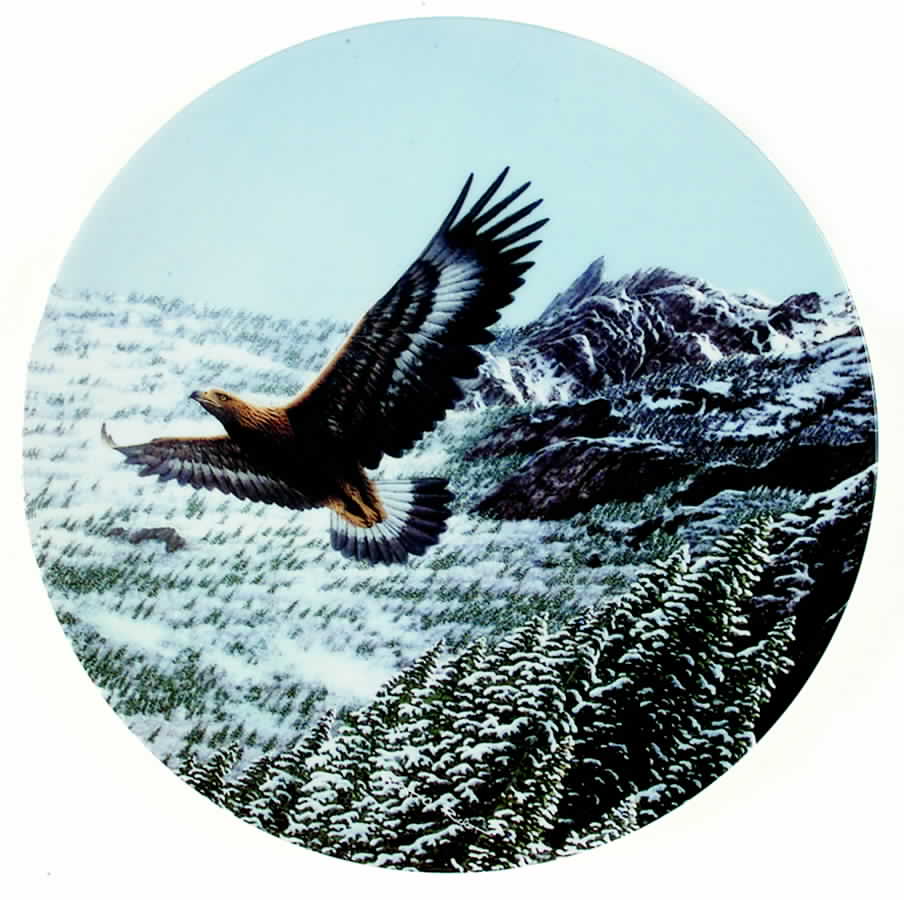 Americas Pride Mighty Summit - No Box by WS George-1