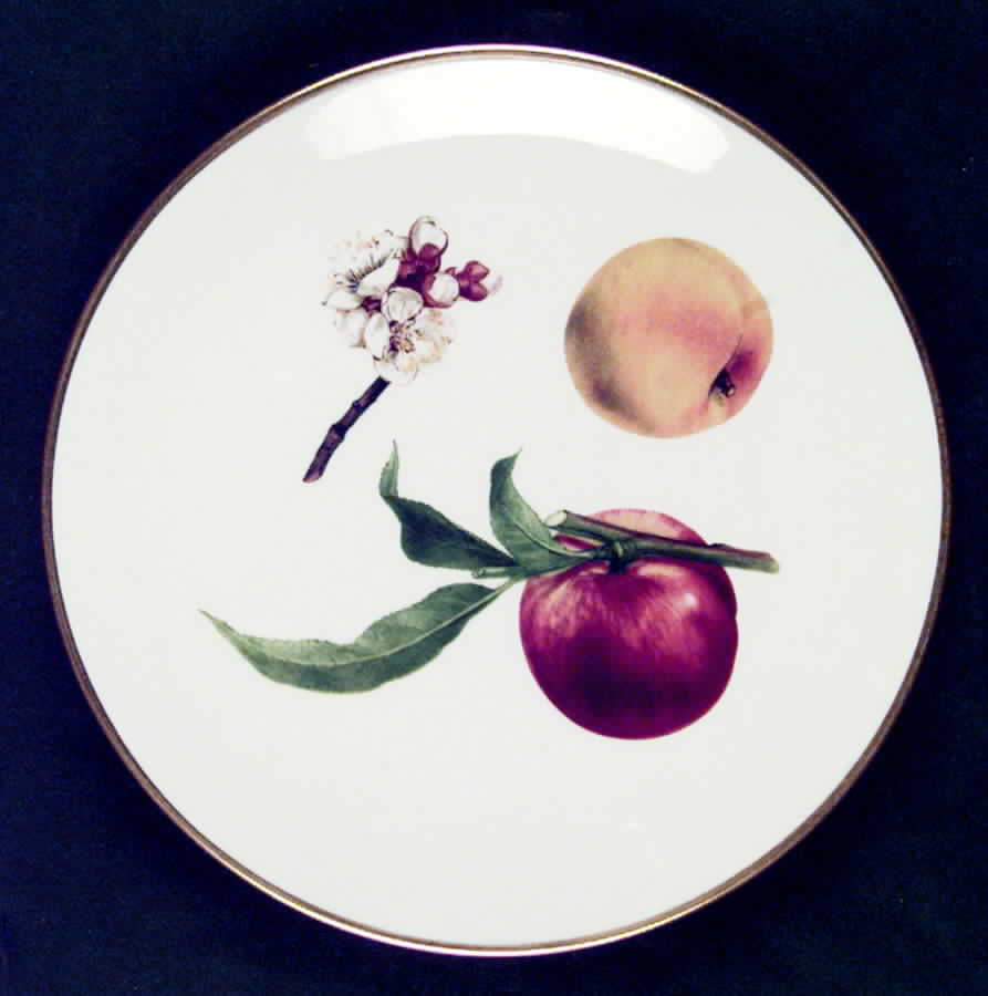 Fruits and Vegetables Apple - Boxed by Gorham-1