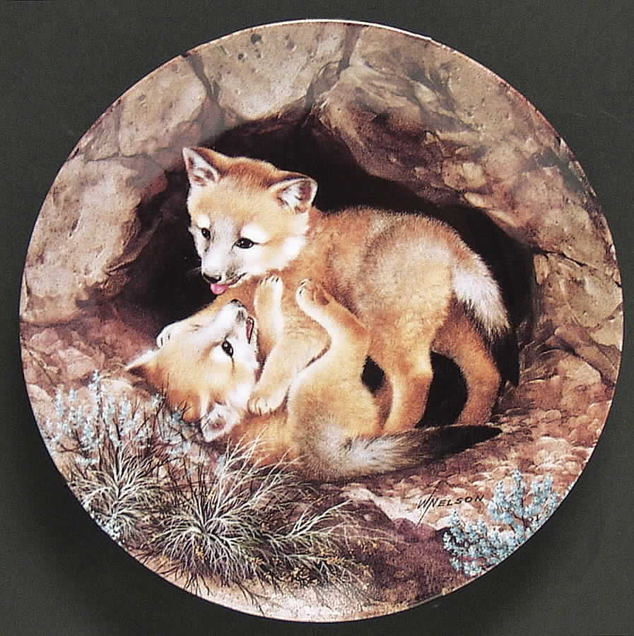 Tomorrows Promise Friskiness:Kit Foxes - No Box by WS George-1