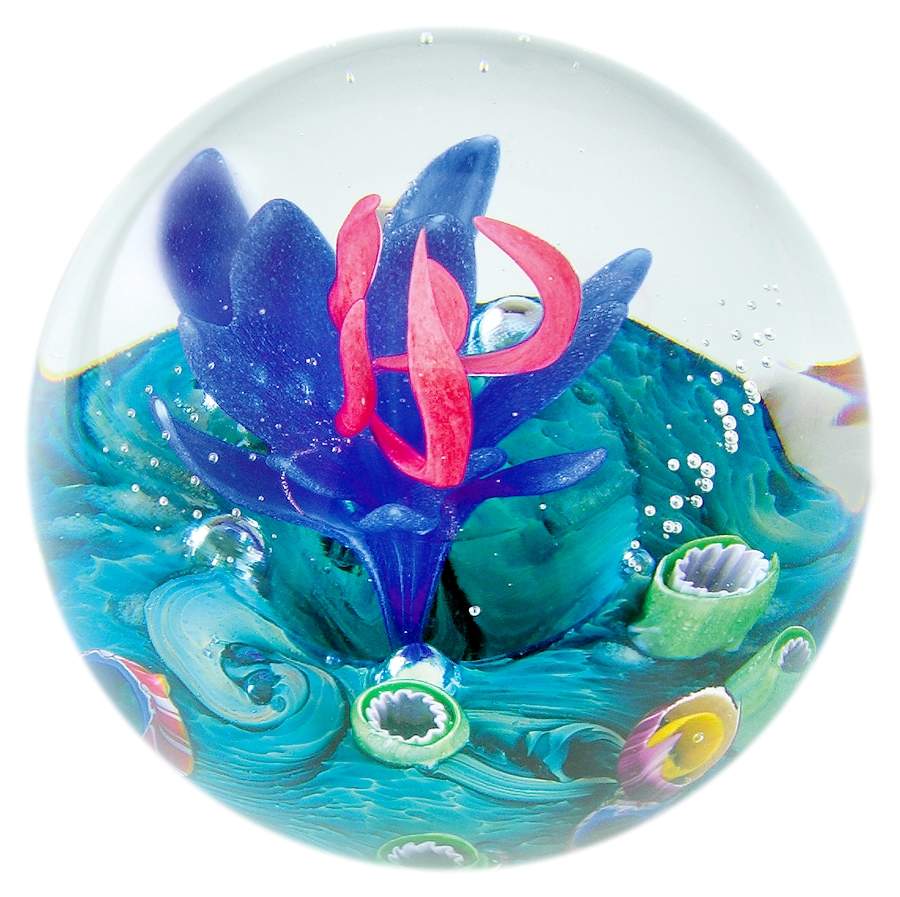 Environmental Series Undersea Garden - Boxed by Glass Eye Studio-1