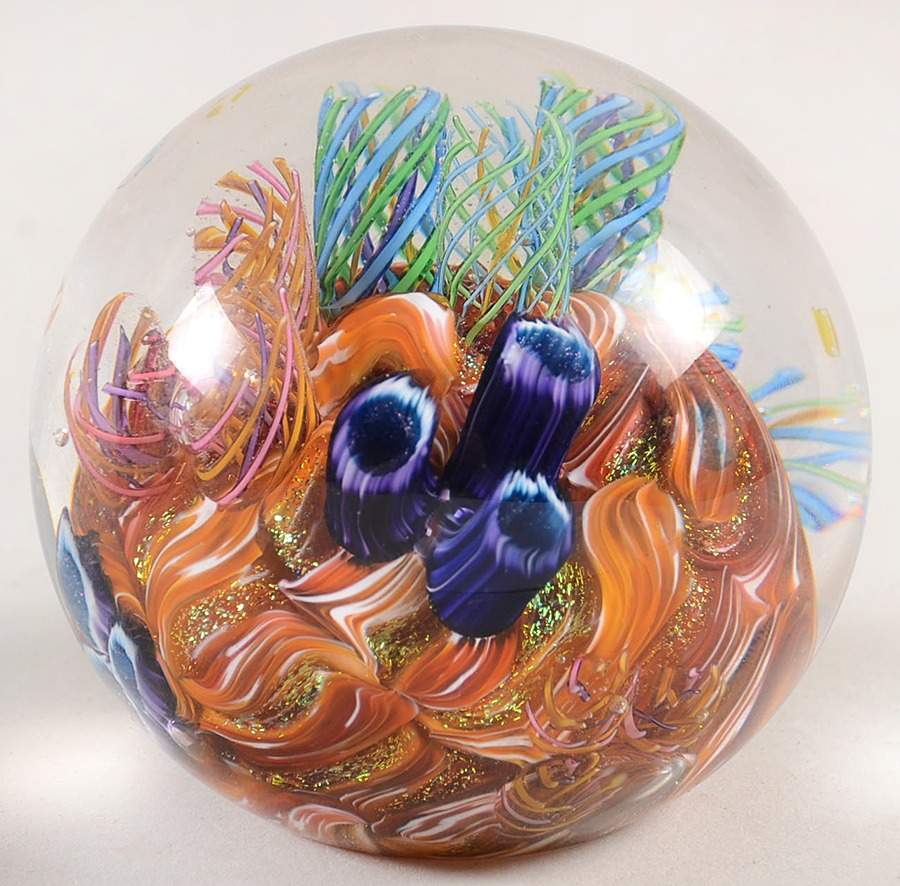 Environmental Series Caribbean Reef - Boxed by Glass Eye Studio-1