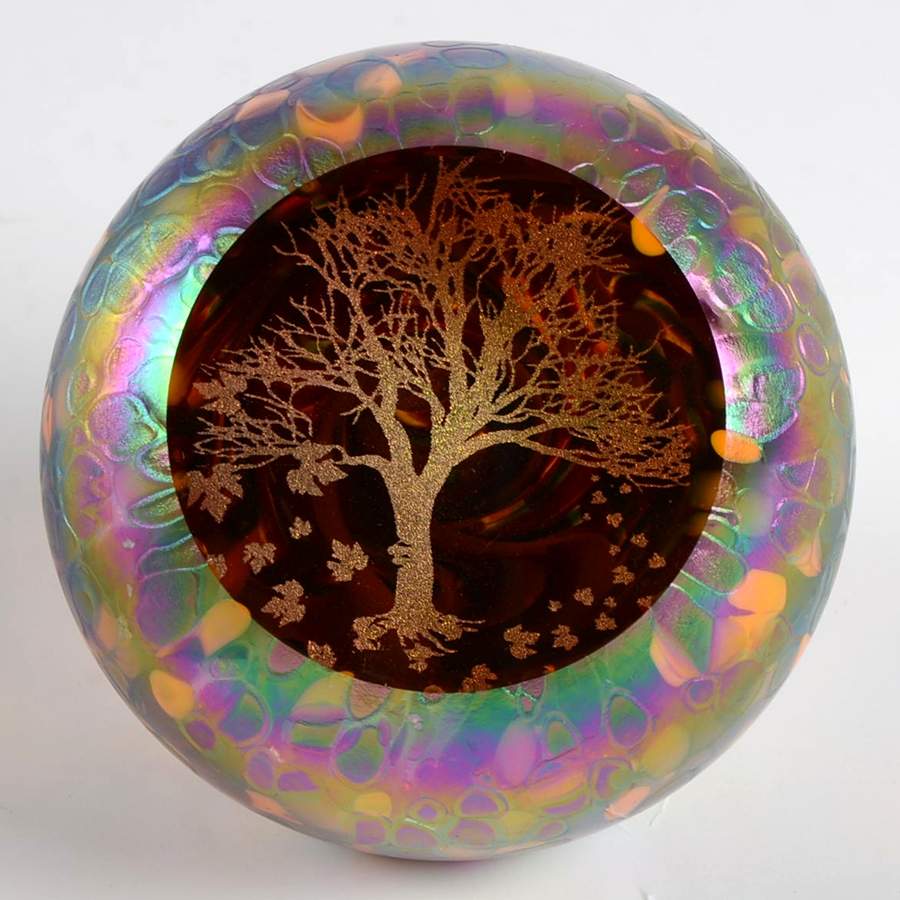 Environmental Series Autumn's Beauty - Boxed by Glass Eye Studio-1