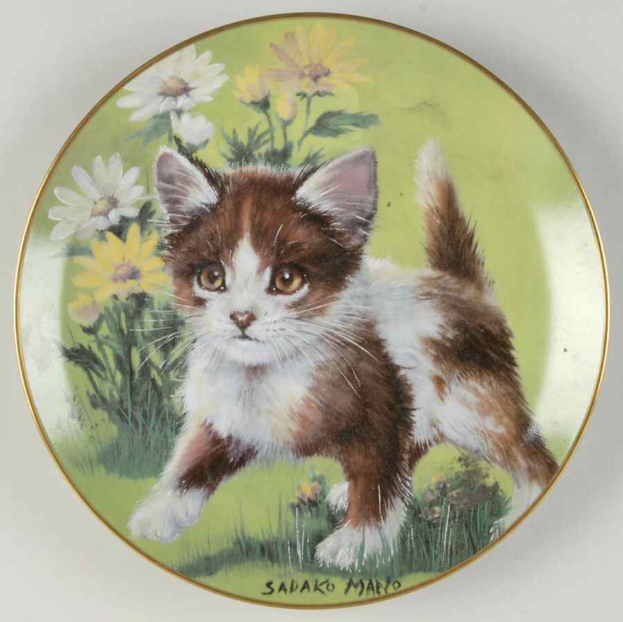 Daisy Cats Daisy Kitten - No Box by Hackett American-1