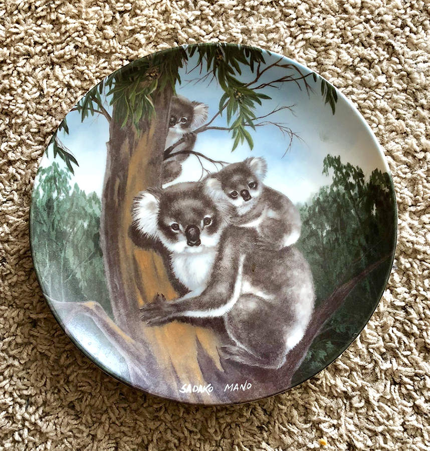 Endangered Species Australian Koala Bear - Boxed by Hackett American-1