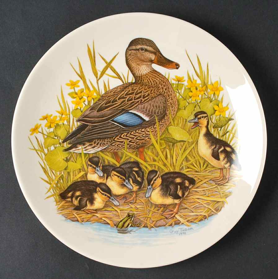 Mother's Day Mallard Family - Boxed by Halberts-1