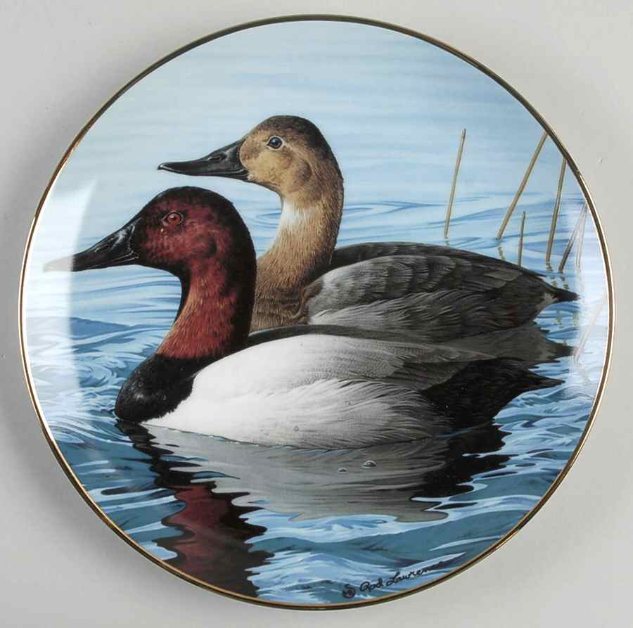 North American Waterbirds Canvasback - Boxed by Hamilton Collection-1