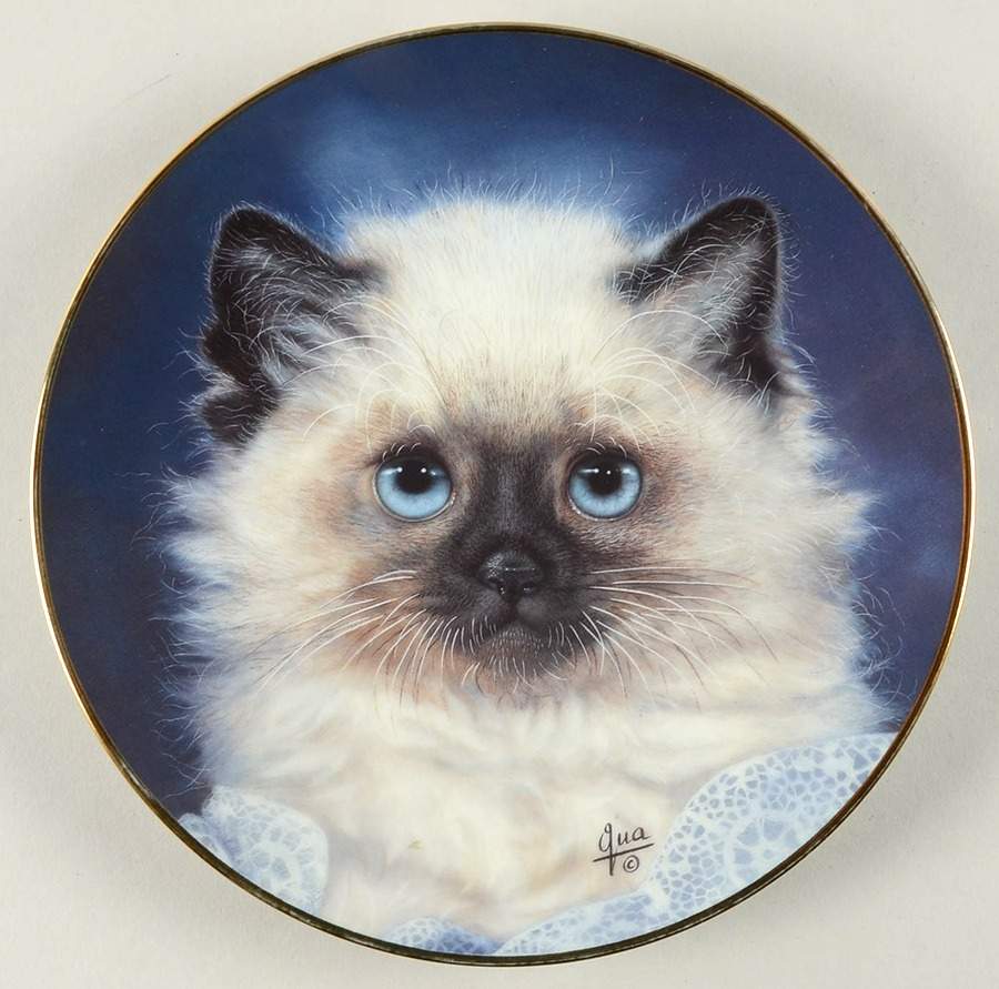 Cameo Kittens Lady Blue - No Box by Hamilton Collection-1