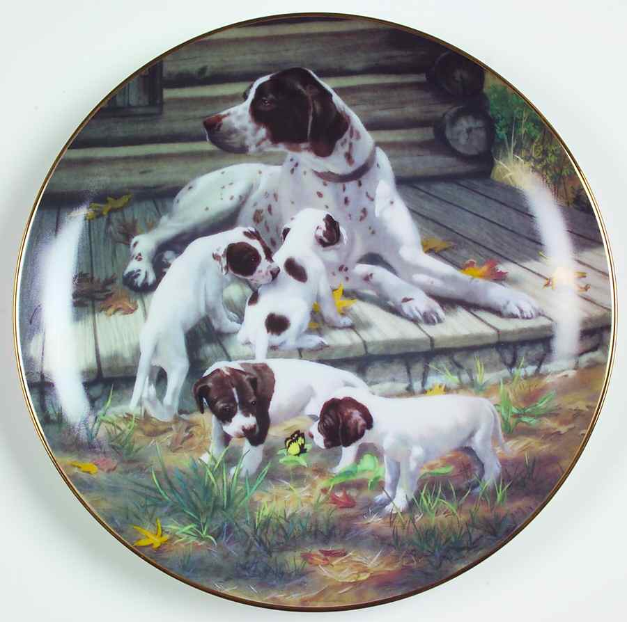 Classic Sporting Dogs Pointers - Boxed by Hamilton Collection-1