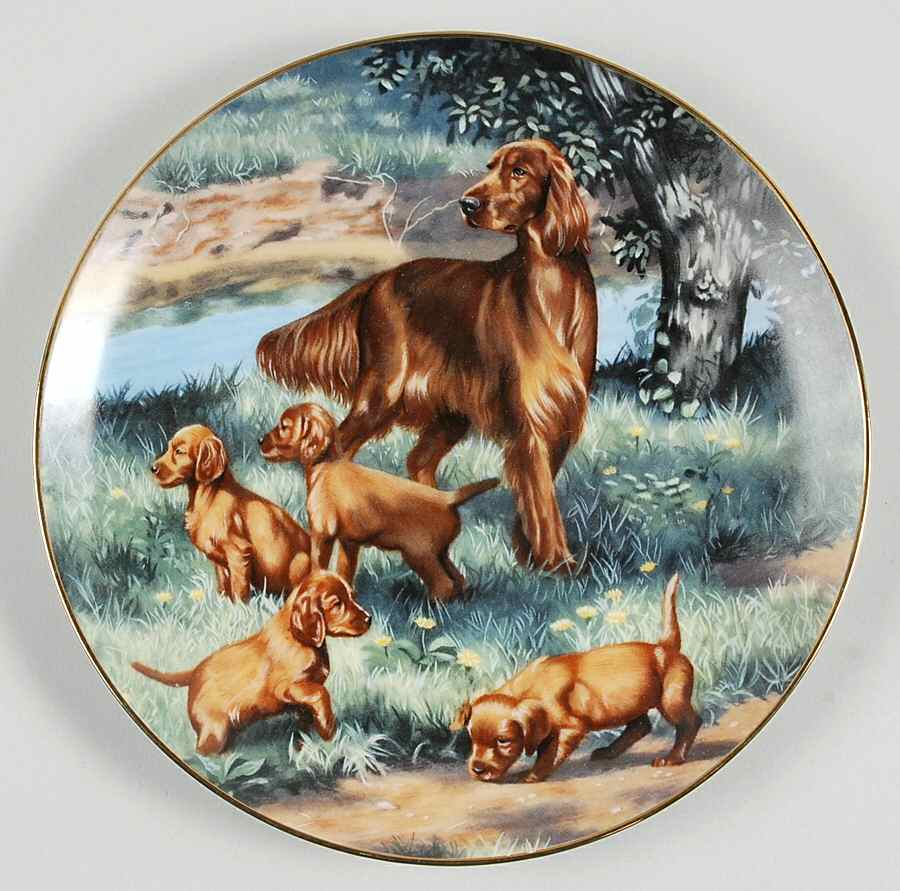 Classic Sporting Dogs Irish Setter - Boxed by Hamilton Collection-1