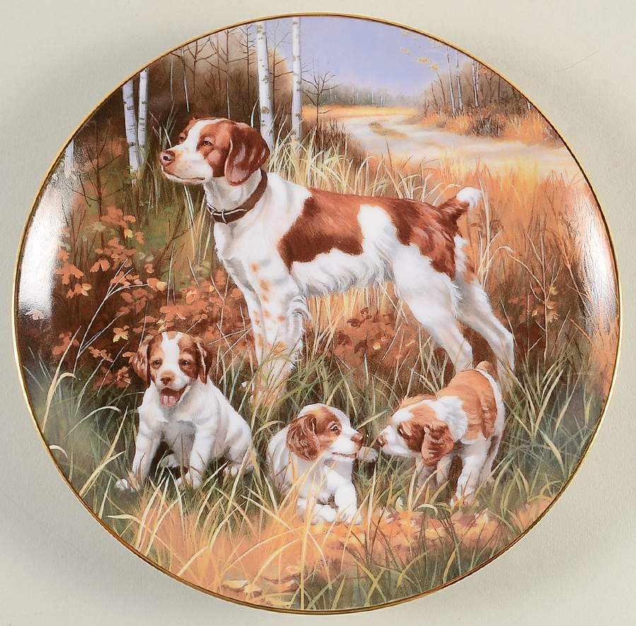 Classic Sporting Dogs Brittany Spaniel - Boxed by Hamilton Collection-1