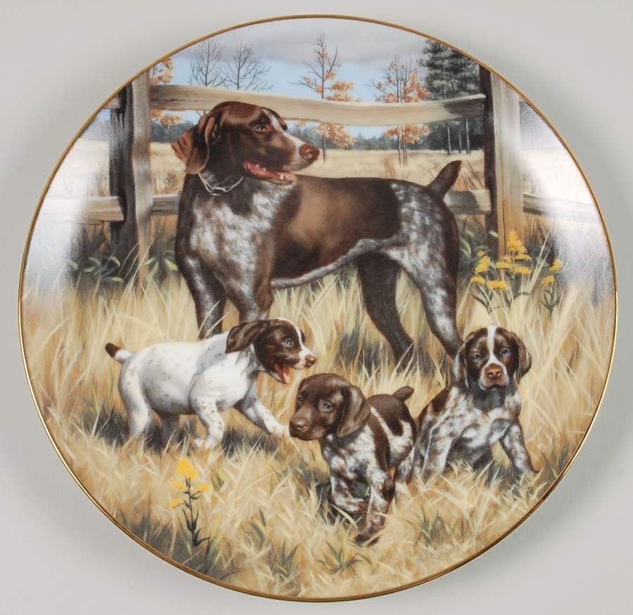 Classic Sporting Dogs German Short-Haired Pointers - Boxed by Hamilton Collection-1