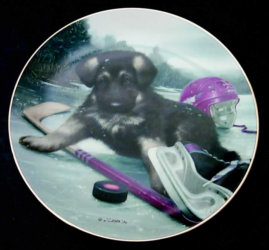 Good Sports Slap Shot - Boxed by Hamilton Collection-1