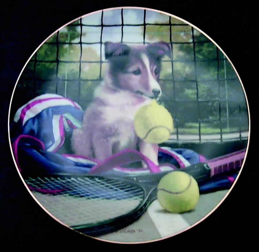 Good Sports Net Play - Boxed by Hamilton Collection-1