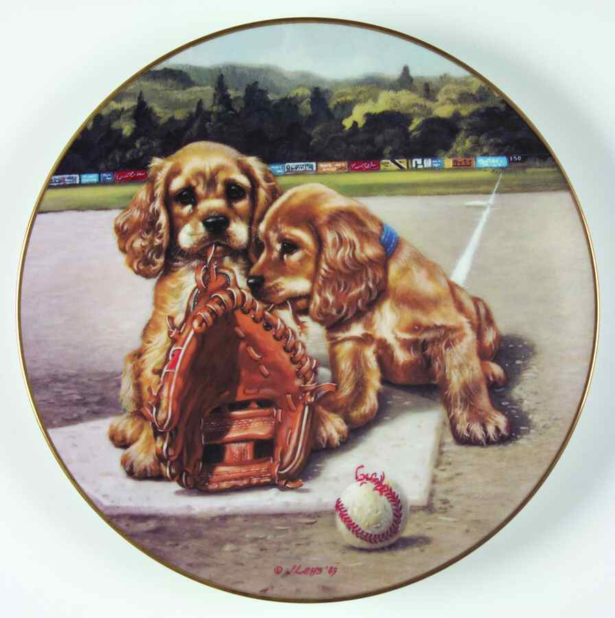 Good Sports Double Play - Boxed by Hamilton Collection-1
