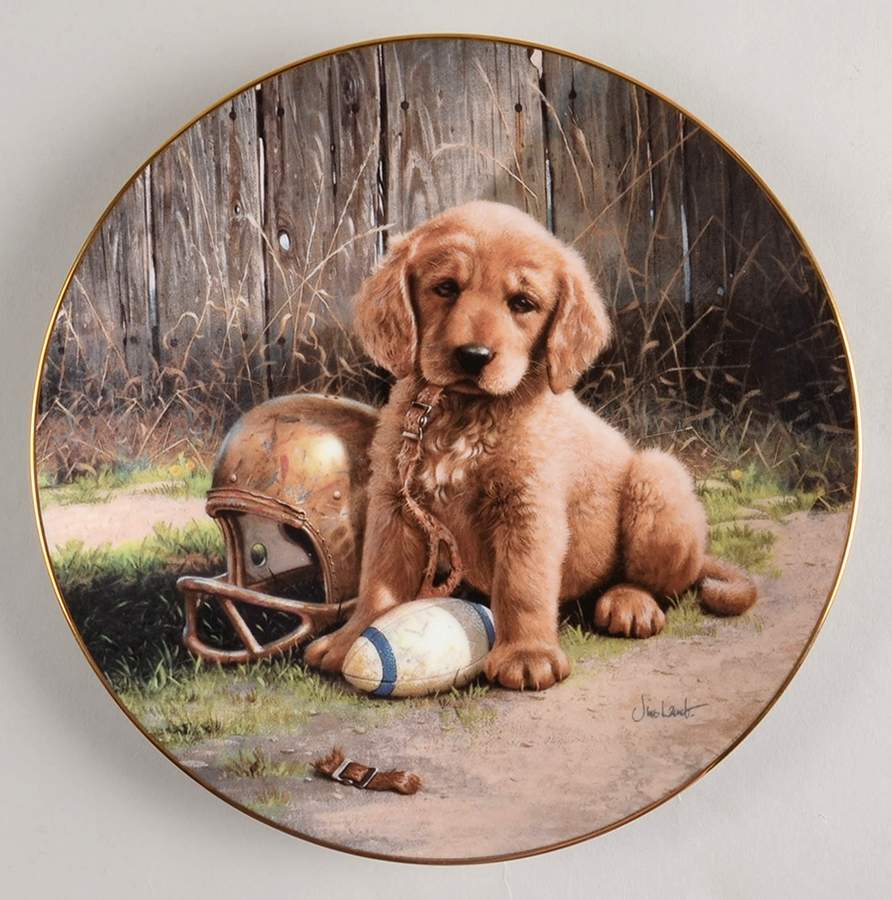 Good Sports Wide Retriever - With Box by Hamilton Collection-1