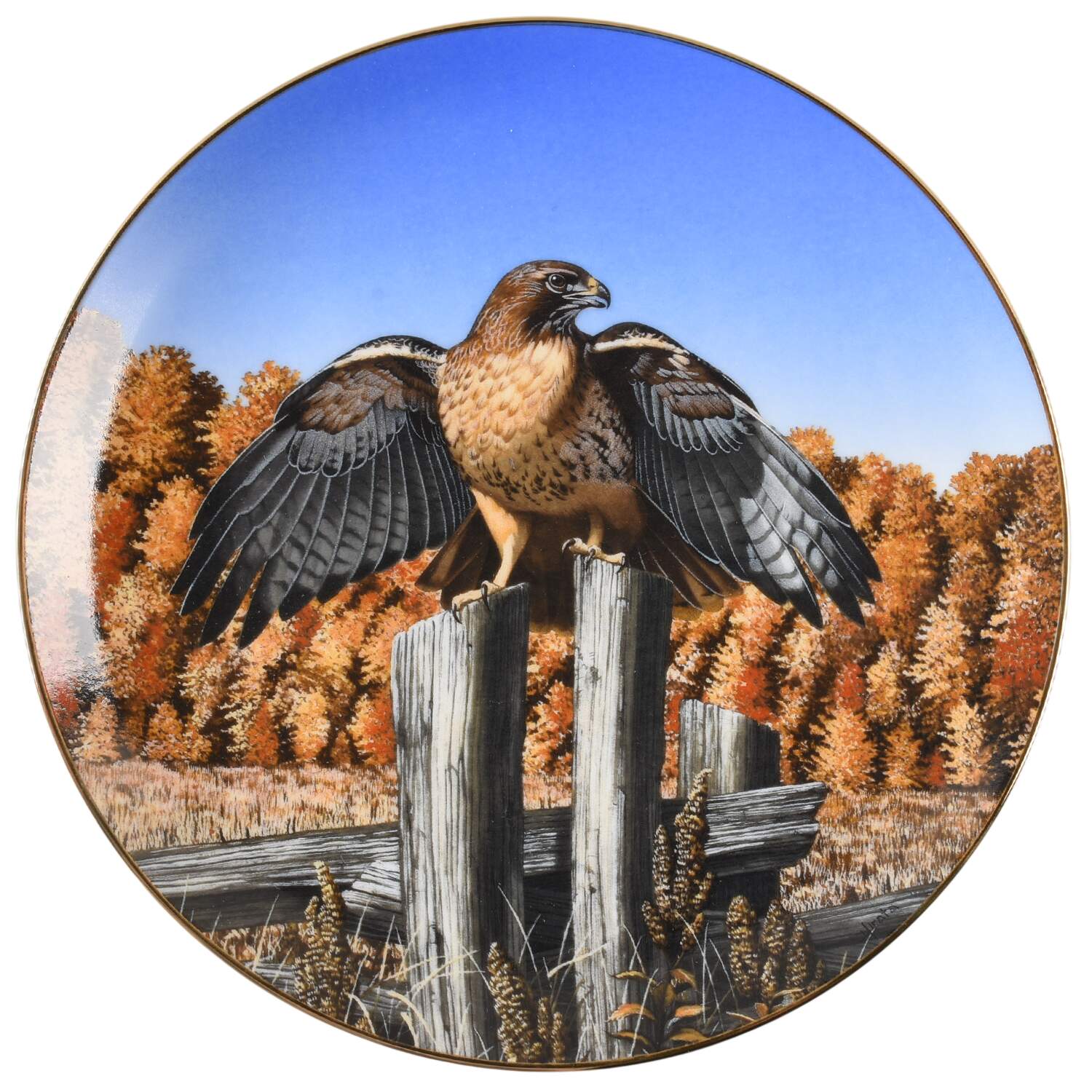 Majesty of Flight Realm Of The Red Tail - Boxed by Hamilton Collection-1
