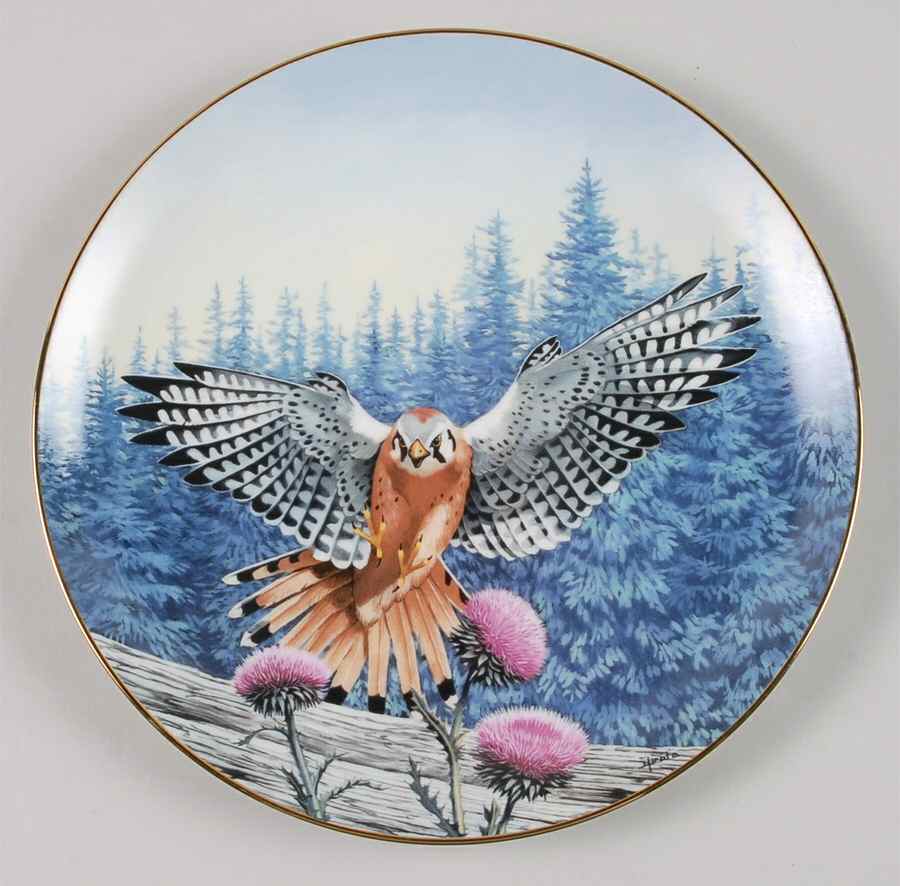 Majesty of Flight The Vantage Point-American Kestrel - No Box by Hamilton Collection-1