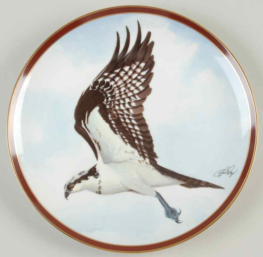 Majestic Bird of Prey Osprey - Boxed by Hamilton Collection-1