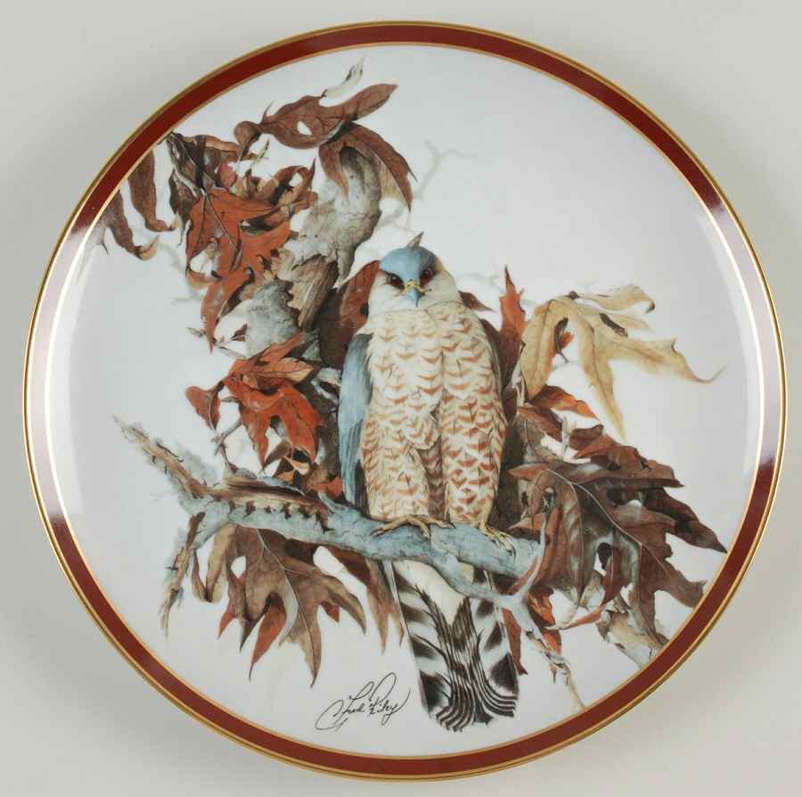 Majestic Bird of Prey Cooper's Hawk - Boxed by Hamilton Collection-1