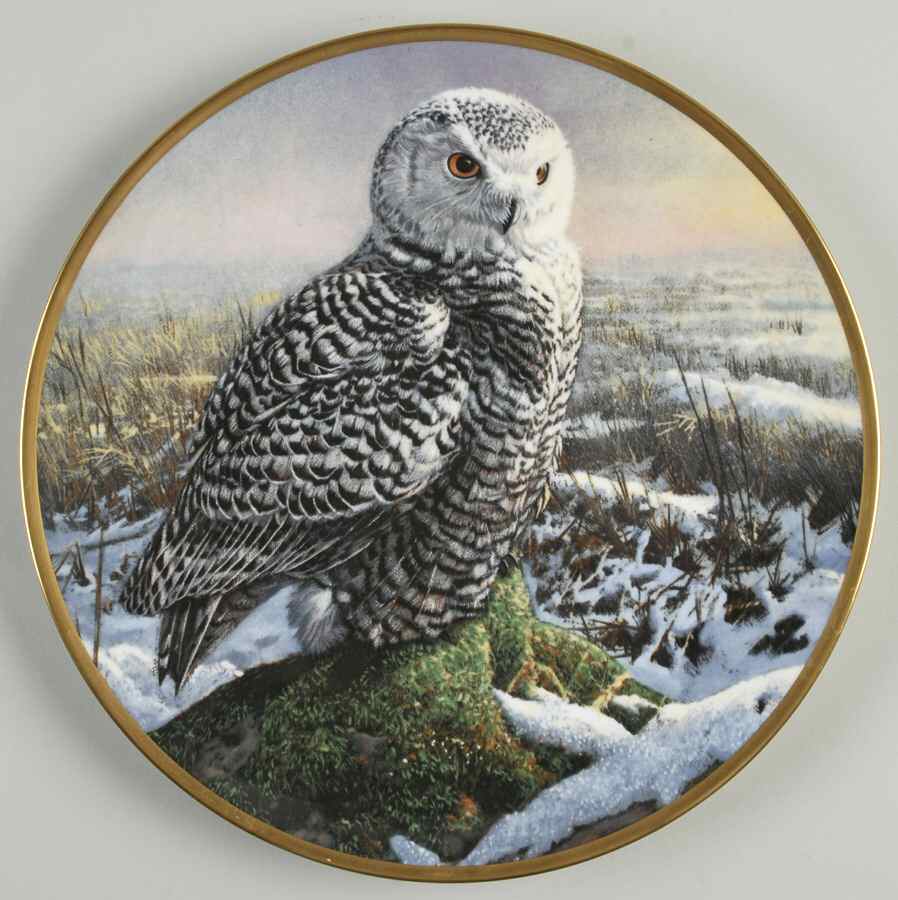 Noble Owls of America Morning Mist - No Box by Hamilton Collection-1