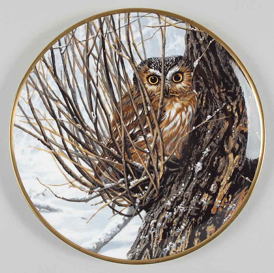 Noble Owls of America Hiding Place - No Box by Hamilton Collection-1