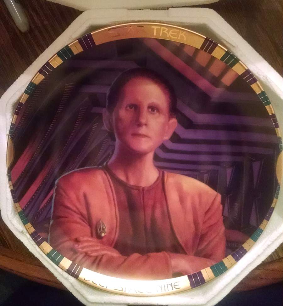 Deep Space Nine Constable Odo - No Box by Hamilton Collection-1