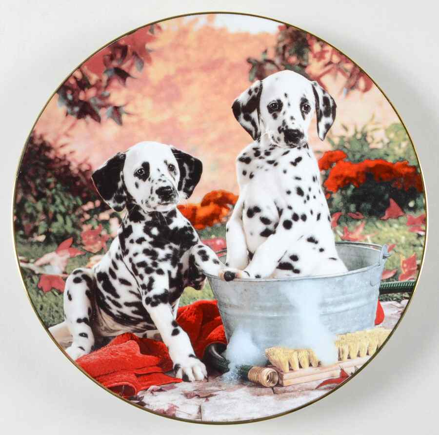 Those Delightful Dalmatians You Missed A Spot - No Box by Hamilton Collection-1